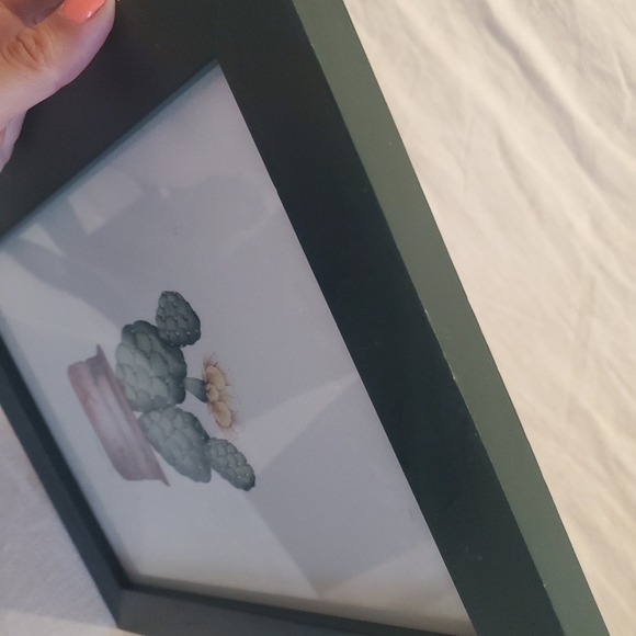 Vintage Flowering Cactus Framed Print by Karyn Frances Gray / Southwestern - Picture 8 of 8